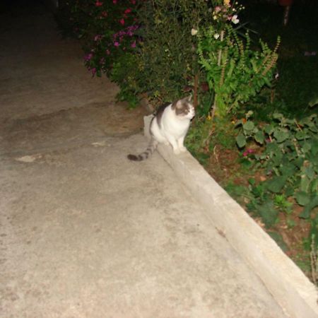 Hotel Filip 2 Biograd Na Moru Esterno foto